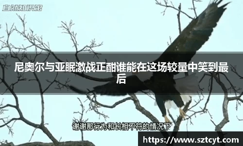 南宫ng28官方网站
